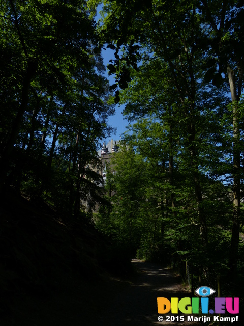 FZ016796 Burg Eltz through trees